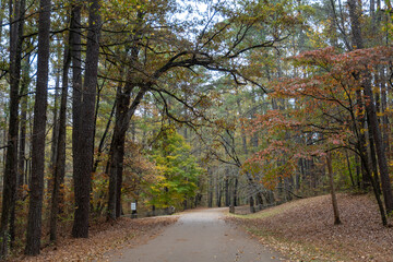 Autumn Leaves at Jeff Busby Site and Little Mountain trail and summit Road. Natchez Trace site named after U.S. Congressman Thomas Jefferson Busby who authorized a survey of Old Natchez Trace.