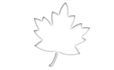 Gordijnen Leaf over white background © vectorfusionart