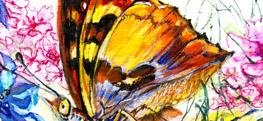Butterfly and flowers closeup, watercolor on white background.