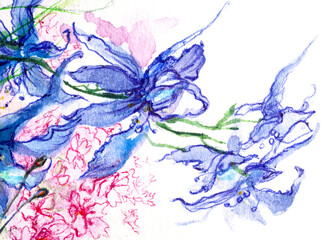 Fototapeta na wymiar Wild blue fowers closeup, watercolor on white background.