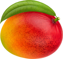 One whole mango fruit with leaf isolated