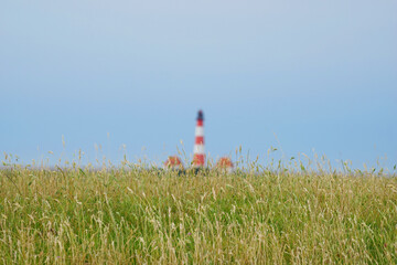 Dünengras Deich vor unscharfer Silhuette vom Westerhever Leuchtturm Nordsee Schleswig Holstein