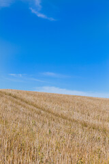 Stepplate, the yellow golden shines in the sun and leads over a top under a bright blue sky