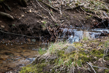 Spring view of Vitosha Mountain, Bulgaria
