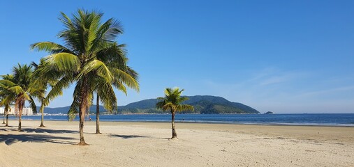 Obraz na płótnie Canvas beach with trees