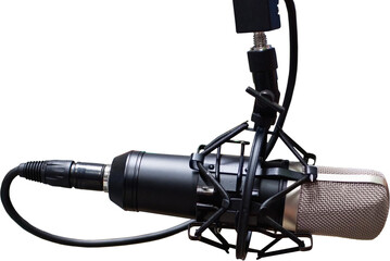 Naklejka premium Condenser microphone