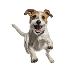 Happy dog jumping, isolated background. Generative AI