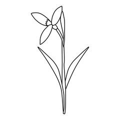 Obraz premium Raising snowdrop spring flower, open bud, doodle style flat vector outline for coloring book