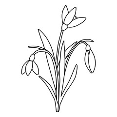Bouquet of snowdrops spring flowers, doodle style flat vector outline for coloring book