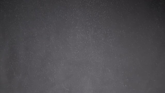 Whirlpool of Falling Mixed Particles of Dust, Debris, Powder on Black Background. Snowfall. Dynamic stream particles of white snow, flakes rotate, swirl, and float in cloud fog. Star rain. Space.