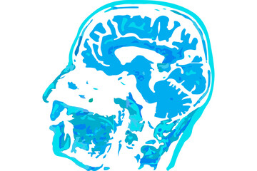 Illustration of a human head and brain