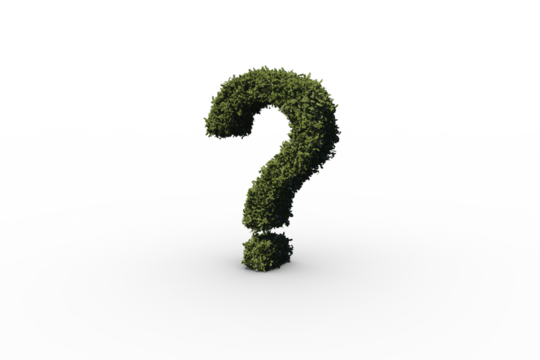 Question mark made of leaves