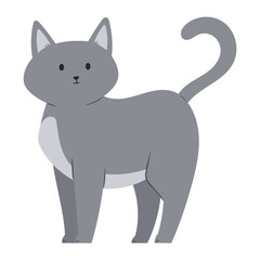 gray cat illustration