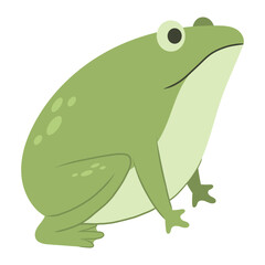 frog vector illustration 