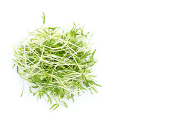 Water spinach sprouts. Organic vegetables