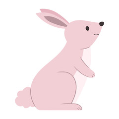cute bunny illustration 