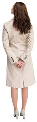 Fototapeta premium Rear view of businesswoman