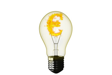 Close-up of Euro symbol burning in light bulb 