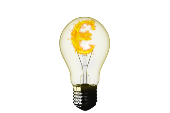 Close-up of Euro symbol burning in light bulb 