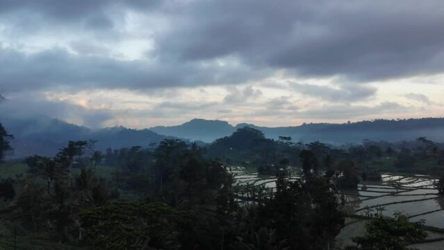 drone fly over misty rice field in the morning in Northern Bali