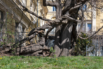 National Art Gallery (former Royal Palace), Sofia, Bulgaria