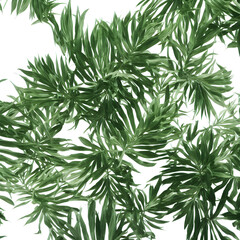 Plants In White Background "Generrative AI"