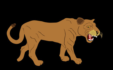 Lioness vector illustration isolated on black background. Lion female. Animal king. Big cat. Pride of Africa. Leo zodiac symbol. Wildlife predator. African big five. Mountain lion cougar.