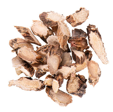 Calamus root isolated on white background. Sweet flag, sway or muskrat root, vasambu. Dry root of Acorus calamus. Top view.