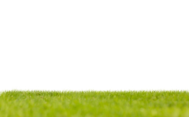 Grassy field