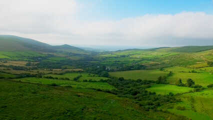 Scenic view of green landscape