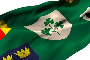 Flag of the IRFU with the centenary logo