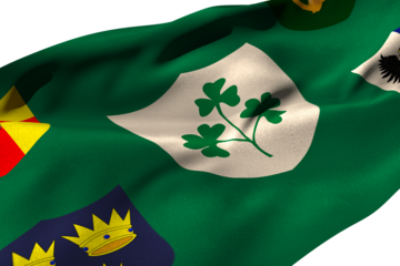 Flag of the IRFU with the centenary logo