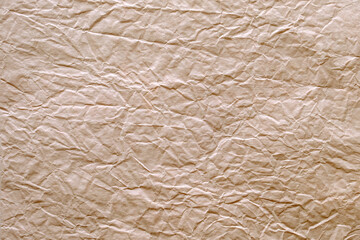 craft crumpled brown paper