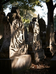 Weathered enaved headstones caught in the shadows of a gnarled tree. Gothic art. AI generation.