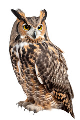 Great Horned Owl Clipart with Transparent Background, AI Generative