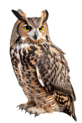 Fototapeta premium Great Horned Owl Clipart with Transparent Background, AI Generative