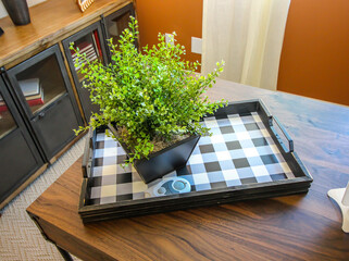 Decorative Wooden Tray With Small Plant