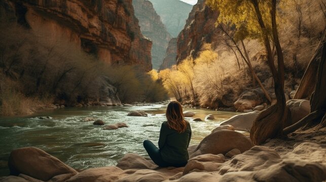 A person sitting on a rock by a river in a canyon surrounded by nature. Generative AI