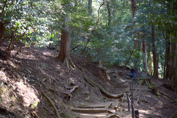 Fototapeta premium 鞍馬山の山道