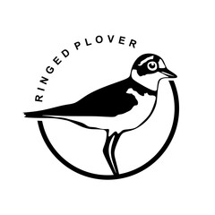 Ringed plover circle logo design. Bird symbol in minimal style. Ringed plover bird sign isolated on white background. Vector illustration