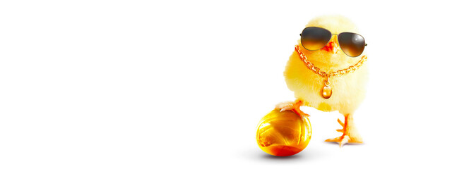 Funny cute baby chick with sunglasses and egg.