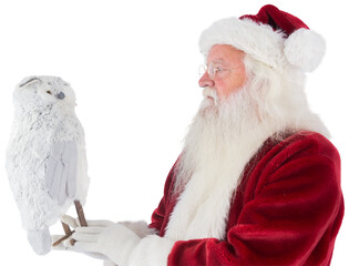 Fototapeta premium Father Christmas holds an owl