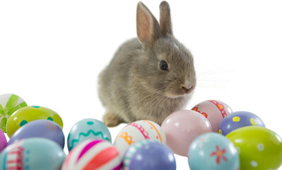 Fototapeta premium Bunny with patterned Easter eggs