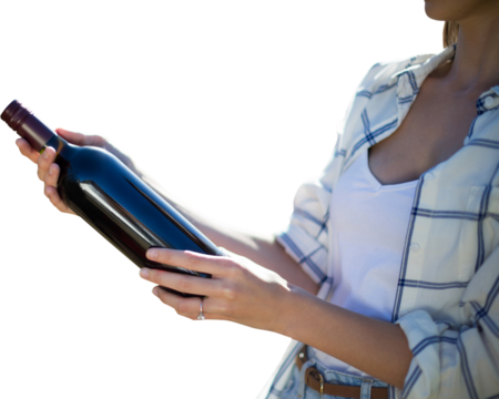 Mid section of woman holding wine bottle