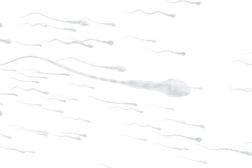 Movement of human sperms