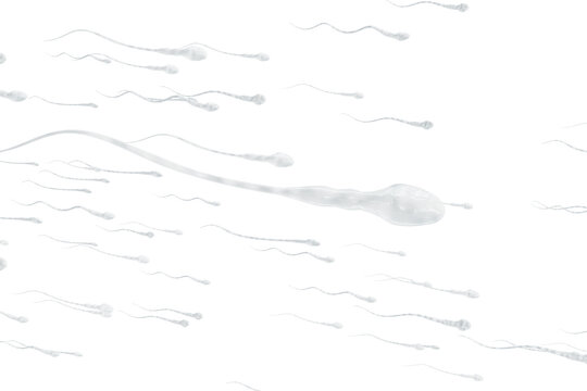 Movement of human sperms