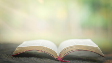 An open Bible is placed on a wooden table. There is a light down against a green background, a solitary concept with a calm atmosphere.