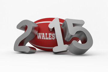 Wales rugby 2015 message 