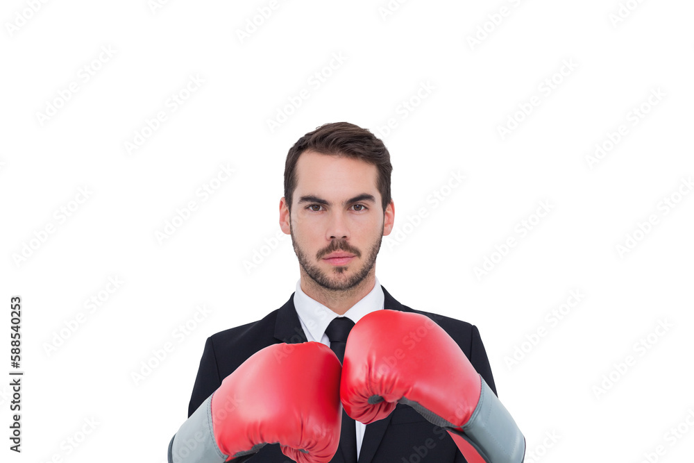 Canvas Prints Businessman with boxing gloves