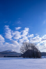 青空の下の雪に覆われた原野。冬の田舎の田舎の風景。